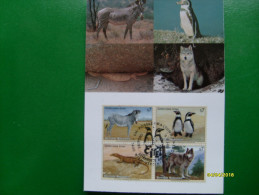 1993 Gefafhrdete Arten  MAXIMUM Card  Animali  Uccelli 4 Valori Se Tenant - Lettres & Documents