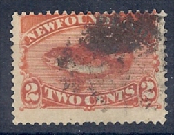 140012031  NEWFOULAND (TERRANOVA)  YVERT    Nº  41 - 1865-1902