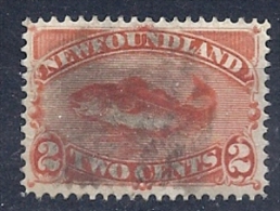 140012032  NEWFOULAND (TERRANOVA)  YVERT    Nº  41 - 1865-1902