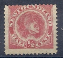 140012033  NEWFOULAND (TERRANOVA)  YVERT    Nº  39  **/MNH - 1865-1902