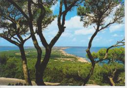 (ACA582) FORMENTERA. EL MIRADOR - Formentera