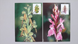 Portugal 2657/8 YT 2654/5 Af 2949/0 Maximumkarte MK/MC, ESST, Orchideen, Dactylorhiza Maculata U. Aceras Anthropophorum - Maximumkaarten