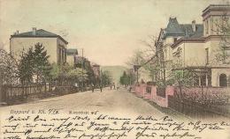 GERMANIA - RHEINLAND - PFALZ - BOPPARD Am RHEIN - Mainzerstrasse - 1904 - Boppard