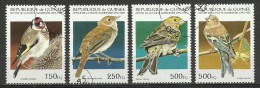 Guinea; 1995 Birds - Spatzen