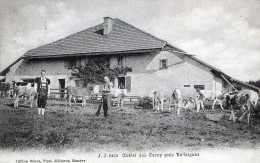 LE CHALET DES CERNY PRES BALLAIGUES - BELLE CARTE  - TRES ANIMEE - 2 SCANS -  TOP !!! - Ballaigues