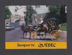QUÉBEC - BONJOUR DE QUÉBEC - TOUR DE CALÈCHE DU VIEUX QUÉBEC - PORTE ST LOUIS - PHOTO REFLECTION - Québec – Les Portes