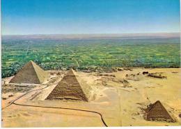 Afrique- Egypte - Pyramides De Guizeh - Giza - Guiza