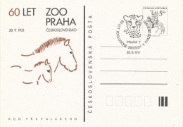 I2461 - Czechoslovakia / Postal Stationery (1991) Praha 7: 60 Years Old Prague Zoo (Przewalski Horse, Cheetah) - Postales