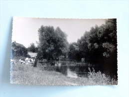 Carte Postale Ancienne : BRAY SUR SOMME : La Somme Vue Du Port , Animé Avec Pecheurs - Bray Sur Somme