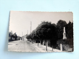 Carte Postale Ancienne : BRAY SUR SOMME : Avenue Aristide Briand - Bray Sur Somme