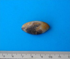 # M043 WHITE&BROWNISH W/YELLOW INSERTS ESTEREL PEBBLE ORE - South France, Provence, Mineral Minerai Minerale Erz - Minéraux