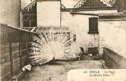 Bruxelles Uccle Le Paon Du Moulin Blanc N°466 Edit. Carthophilie Belge Brux. - Uccle - Ukkel