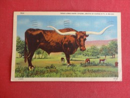 Texas Long Horn Steer  1943 Military Free Cancel Ref 1294 - Other & Unclassified