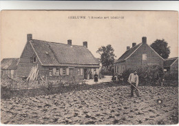 Gheluwe, Geluwe, T Roozeke Met Tabakveld (pk13761) - Wervik