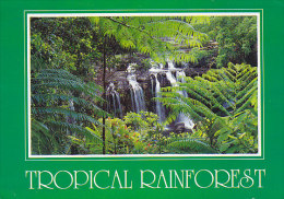 Australia PPC Tropical Rainforest Queensland AIR MAIL Label TOWNSVILLE Meter Stamp 1996 SØBORG Denmark (2 Scans) - Townsville