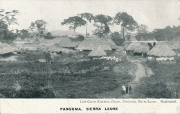 AFRIQUE - SIERRA LEONE - PANGUMA - Sierra Leone