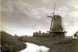 HOORN (N.H.) -  Molen/moulin - Prachtige, Historische Opname Van De Molen Van Balk, Gesloopt In 1903 - Hoorn