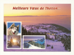 Cp, 74, Thollon, Multi-Vues, écrite 1999 - Thollon