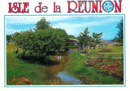 CPSM Ile De La Réunion-l'étang Du Gol   L1589 - Saint Denis