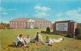 219021-Massachusetts, Springfield, Western New England College, Campus Scene, Students Sitting On The Ground - Springfield