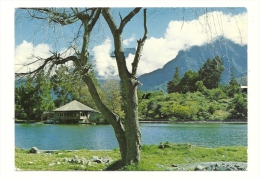 Cp, Ile De La Réunion, Cilaos, Bordure Du Lac, écrite - Other & Unclassified