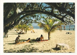 Cp, Guadeloupe, Plage De La Caravelle, écrite - Other & Unclassified