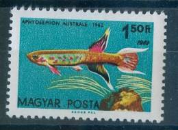 HUNGARY - 1962.Fishes - 1962 Twice In Design MNH!!! - Variétés Et Curiosités