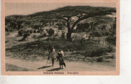 SOMALIA ,  Boscaglia - Somalia