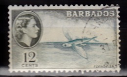 Barbados, 1953, SG 296, Used - Barbades (...-1966)