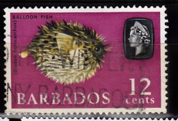 Barbados, 1965, SG SG 329, Used (Wmk Upright) - Barbades (...-1966)