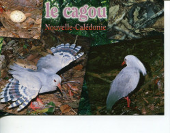 (PH 200) New Caledonai - Cagou Bird - Neukaledonien