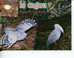 (PH 200) New Caledonai - Cagou Bird - Nueva Caledonia