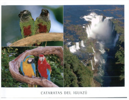 (PH 200) Brazil - Iguazu Waterfall And Parrots Birds - Other