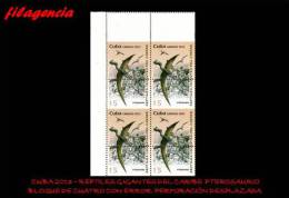 PIEZAS. CUBA. ERRORES. 2013-25 REPTILES GIGANTES. PTEROSAURIO. BLOQUE DE CUATRO. PERFORACIÓN DESPLAZADA - Imperforates, Proofs & Errors