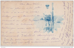 MARENNES(17)1901-précurseur-vieux Pêcheur D´huitres-dos Simple-MARION - Marennes