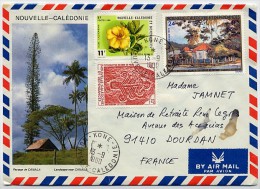 Enveloppe Par Avion De KONE Nouvelle Calédonie à DOURDAN France En 1980 - Brieven En Documenten