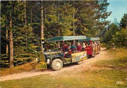 VIROINVAL . NISMES . PETIT TRAIN TOURISTIQUE VERS LE MATRICOLO . - Viroinval