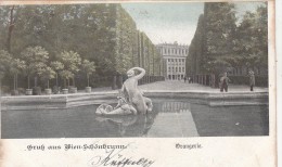 B81106 Wien Schonbrunn Orangerie Austria Front/back Image - Schloss Schönbrunn