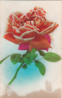 Carte Postale Ancienne Fantaisie - Fleurs - Rose - Autres & Non Classés