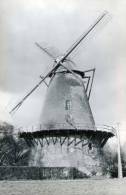 BOECHOUT (Antwerpen) - Molen/moulin - De Stenen Molen Met Gebroken Wieken Vóór De Restauratie. Historische Opname! - Böchout