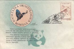 BIRD, DUNLIN, SPECIAL COVER, 1993, ROMANIA - Cicogne & Ciconiformi