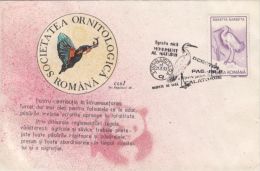 BIRD, LITTLE EGRET, SPECIAL COVER, 1993, ROMANIA - Pelikanen