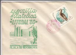 BIRD, COMMON SNIPE, SPECIAL COVER, 1966, ROMANIA - Cigognes & échassiers