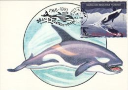 WHALE, ORCA, CM, MAXICARD, CARTES MAXIMUM, 1993, ROMANIA - Ballenas