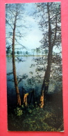 Amber Bay At Juodkrante - Neringa - Mini Format Card - 1970 - USSR Lithuania - Unused - Litauen