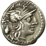 Monnaie, Cassia, Denier, Roma, TTB, Argent, Babelon:1 - Republic (280 BC To 27 BC)