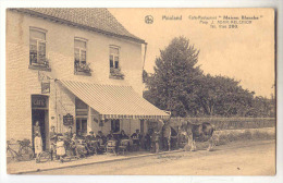 E3557 - MOULAND  - Maison Blanche ADAM - MELCHIOR - Fourons - Voeren