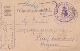 WAR FIELD POSTCARD FROM WORLD WAR 1, CENSORED NR 202, 1915, HUNGARY - Briefe U. Dokumente