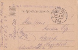 WAR FIELD POSTCARD FROM WORLD WAR 1, CENSORED NR 294, 1916, HUNGARY - Lettres & Documents