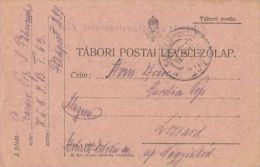 WAR FIELD POSTCARD FROM WORLD WAR 1, BATALLION 1/63, CENSORED NR 294, 1916, HUNGARY - Lettres & Documents